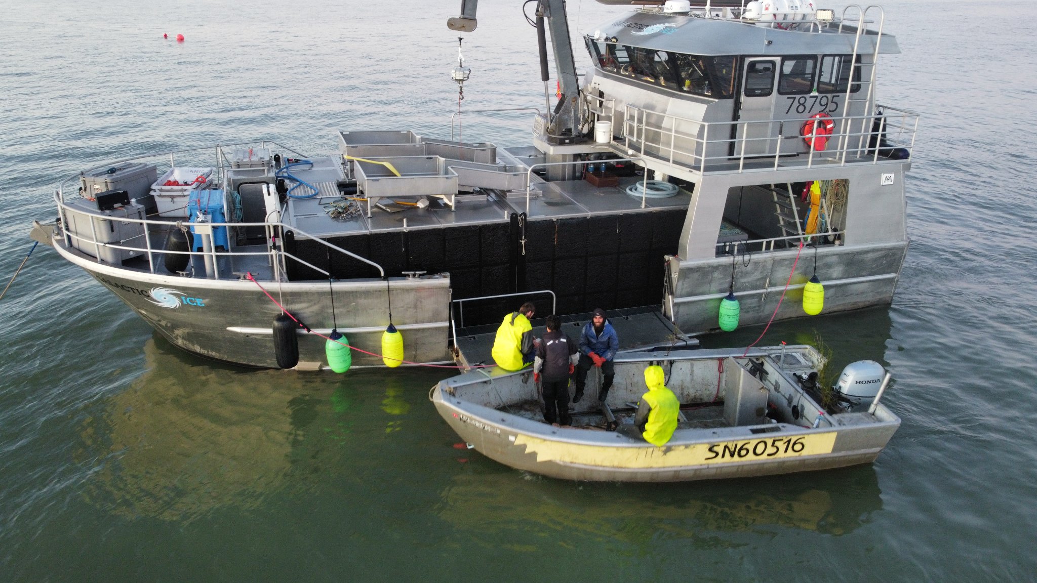 Active fishing crew on boats